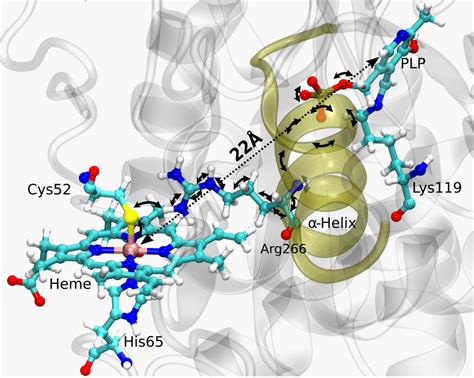 Institute of Nano Science and Technology