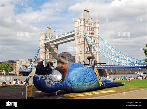 Monty Python Dead Parrot 的图像结果