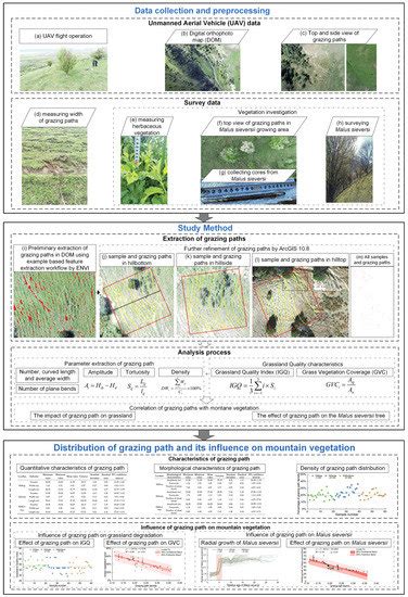 Distribution of Grazing Paths and Their Influence on Mountain ...