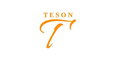 Teson - Premium IT Solutions & Software Products | Cloud, DevOps, CRM, ERP
