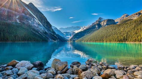 Image result for Table One Script