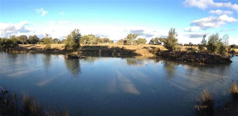 NARRABRI FISH FARM (2025) All You Need to Know BEFORE You Go (with ...