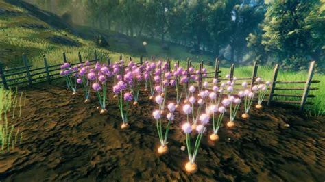 Valheim Hearth And Home Update: Latest Features & FAQs