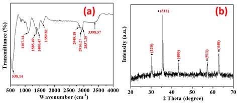 Biogenic Synthesis of Iron Oxide Nanoparticles Using Enterococcus ...