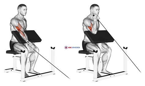 Cable One Arm Preacher Curl - Home Gym Review