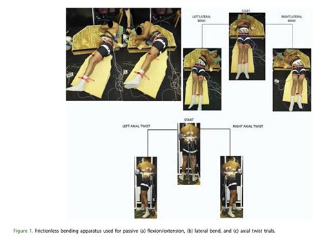 Image result for Pallof Press Anti-Rotation