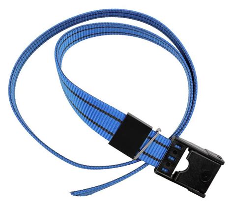 Halters, collars & leads