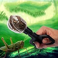 Portable Feeder/Food Cum Worm/Insect Feeding Tool for Reptile/Terrarium ...