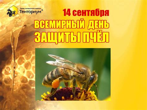 Calaméo - Презентация_Всемирный_день_защиты_пчёл_