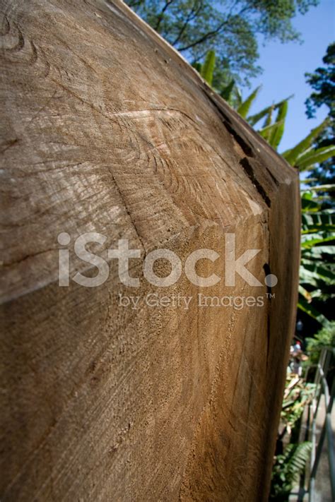 Image result for Cut Log