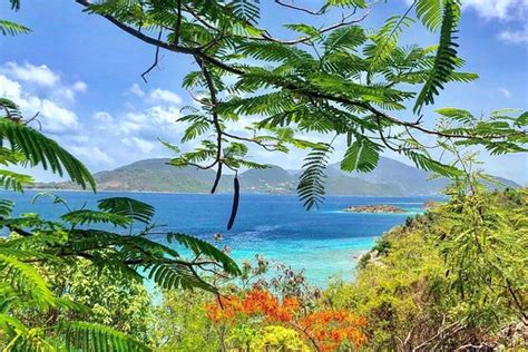 Caribbean Concierge - St. Thomas | Tripadvisor