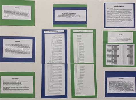 Image result for DNA Barcoding Conference Poster