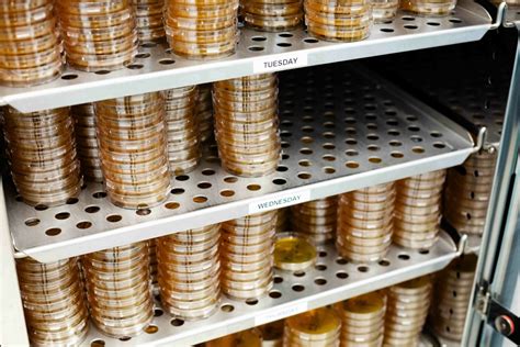 Quality - Hallandale Pharmacy