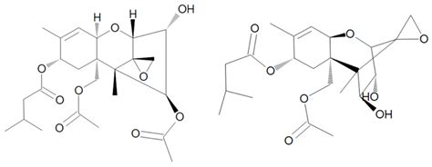 Neurotoxicological Effects of Some Mycotoxins on Humans Health and ...