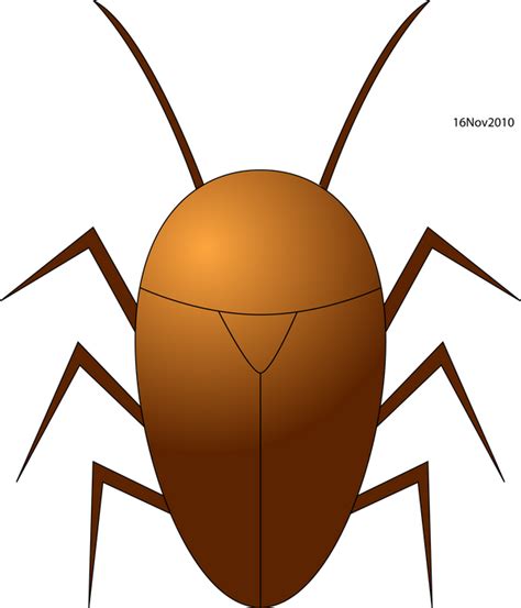 Google AI Cockroach Meme 的图像结果