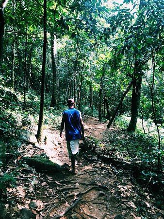 THE BEST Restaurants in Mimaropa (Updated December 2025)