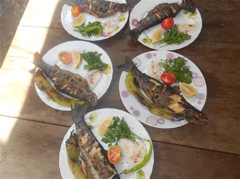 KAPUZBASI SELALESI BASTURK DINLENME TESISI, Kayseri - Menu, Prices ...