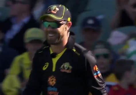 [Watch] Glenn Maxwell predicts run-out on live TV and executes it ...