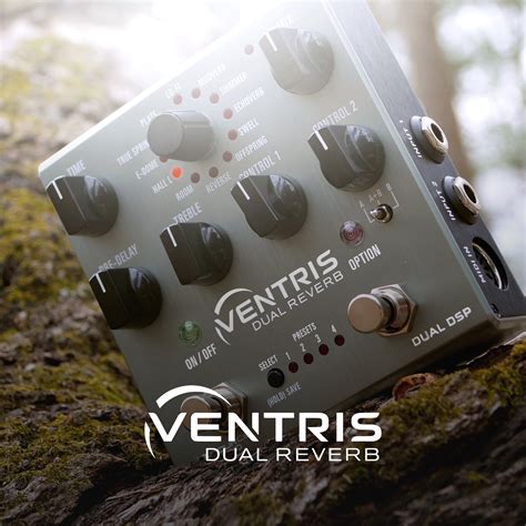 Source Audio Atlas 的图像结果