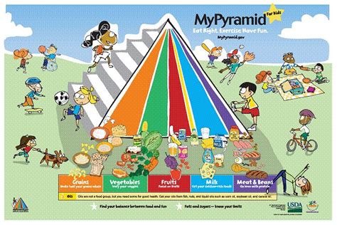 Image result for MyPyramid