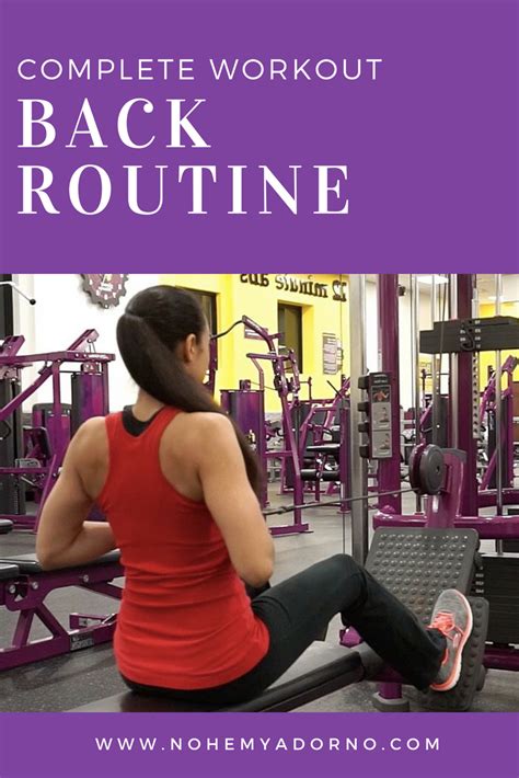 Image result for Workout Back Routine