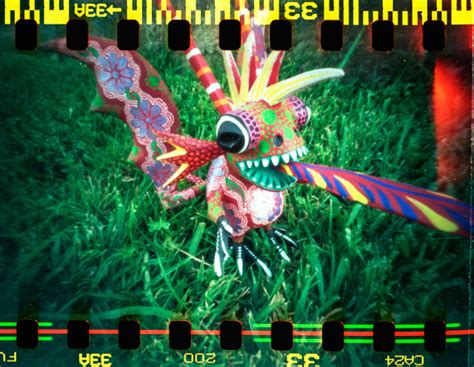 Image result for Pinhole Camera Cardboard