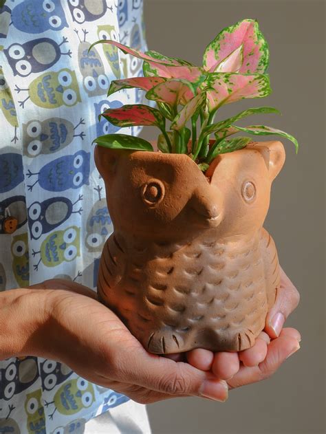 TERRACOTTA PLANTERS – PRAKRTI GARDEN BOUTIQUE