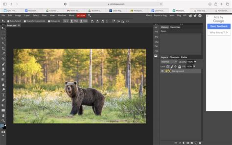 Image result for Photopea Tutorial