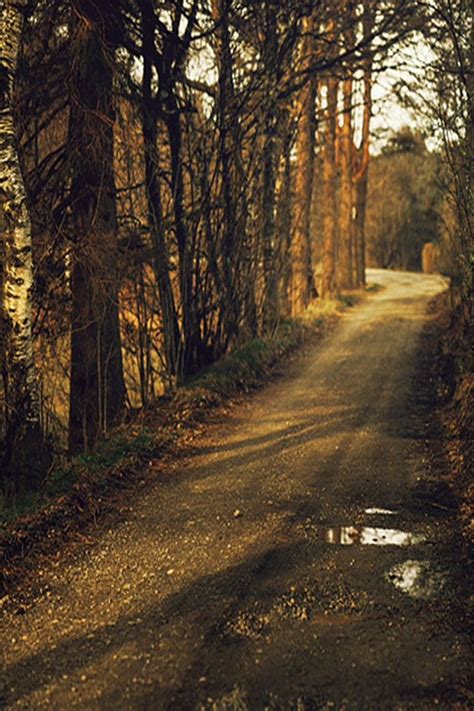 Country Road 的图像结果