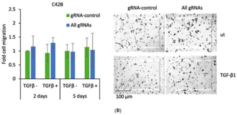 CRISPR-Mediated Reactivation of DKK3 Expression Attenuates TGF-β ...