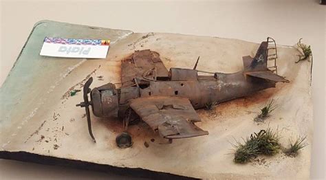 Scale Model 的图像结果