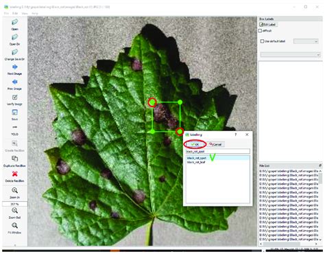 Deep Learning Training Image Labeling Process 的图像结果