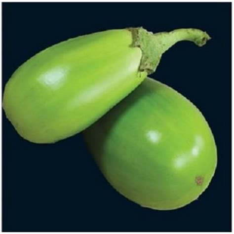 SVI 25 APPLEGREEN Eggplant Green Fruit/Vegetable Solanum India | Ubuy