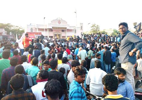 Jallikattu protests: Centre, state to find solution by Friday evening ...