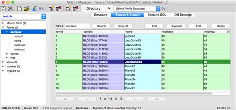 Image result for SQLiteStudio Auto Increment