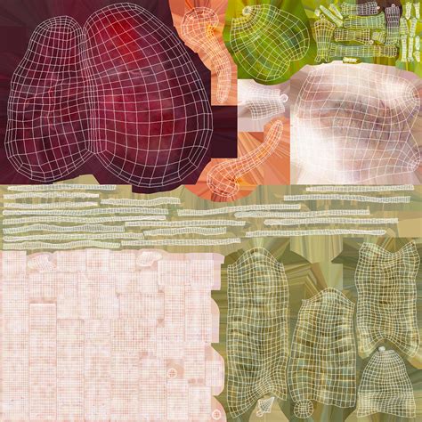 3D model Skinless Full Body Kid Girl Anatomy | 3D Molier International