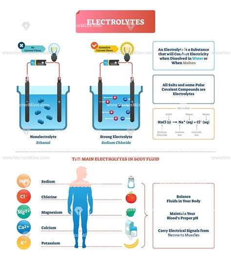 What Is The Electrolytes Test Used For at Stephanie Dampier blog