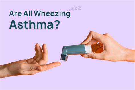Wheezing | Is Asthma The Only Cause? – Bibo