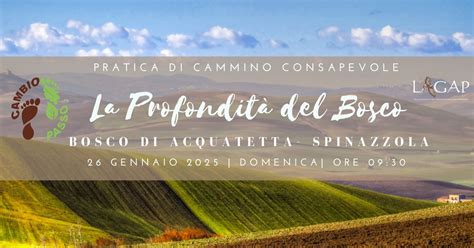 La Profondità del Bosco - Pratica di cammino consapevole (Trekking ...