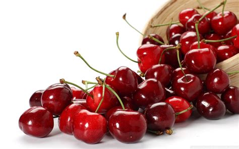Image result for Code Color Only Extension