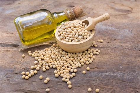 High Oleic Soybean Oil: A U.S. Soy Innovation | May2019 | Soybean oil ...