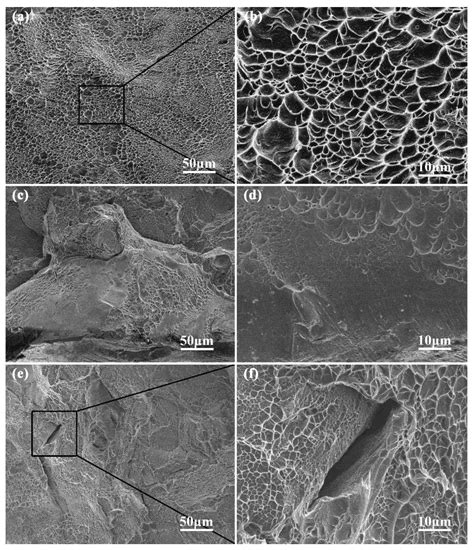 Anisotropy in the Tensile Properties of a Selective Laser Melted Ti-5Al ...