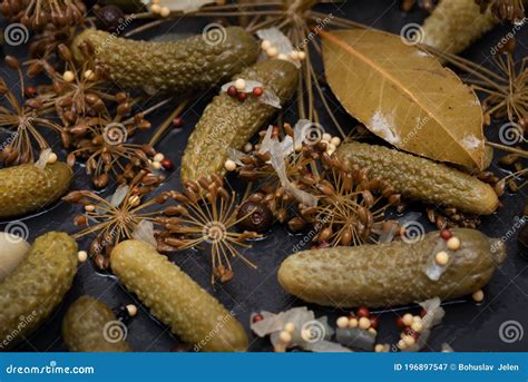 French Cornichon Pickles at Bill Voigt blog