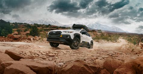 Subaru Wilderness Family | Subaru of Daytona