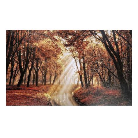 Sunlit Forest Canvas Wall Art, 60x35