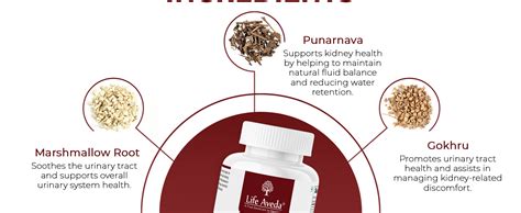 Buy Life Aveda Kidney Restore, Dietary Supplement, 100% Natural, For ...