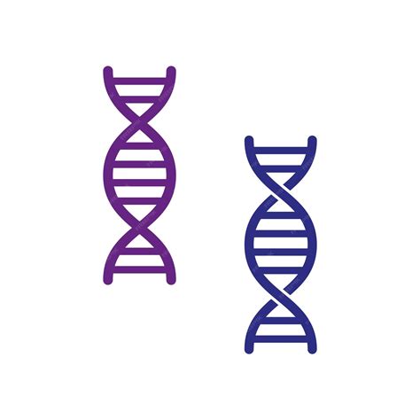 Dna helix icons purple blue colors genetic science symbol vector ...