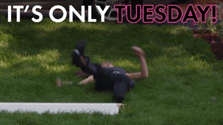 Funny Tuesday GIFs | GIFDB.com