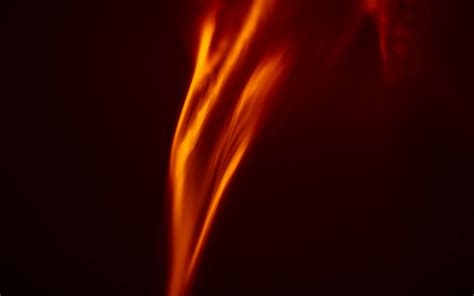 God's Protection Photos, Download The BEST Free God's Protection Stock Photos & HD Images