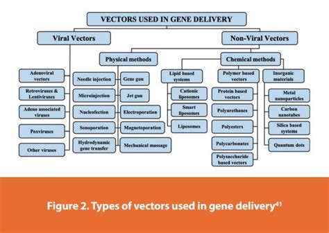 Viral Vector Manufacturing Process 的图像结果
